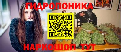 твердый Краснознаменск