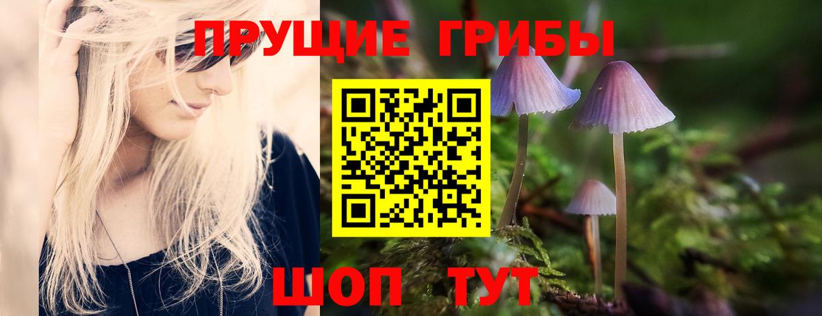 Ипатово  Псилоцибиновые грибы ЛСД  Вход с VPN 